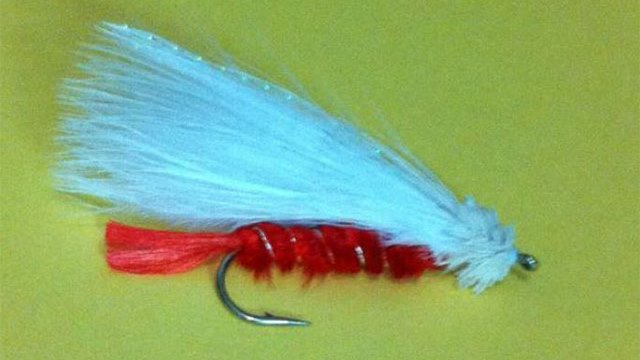 How to Tie the Marabou Storm Muddler