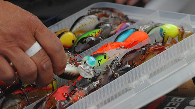 5 Best Baits for Early Fall Bass