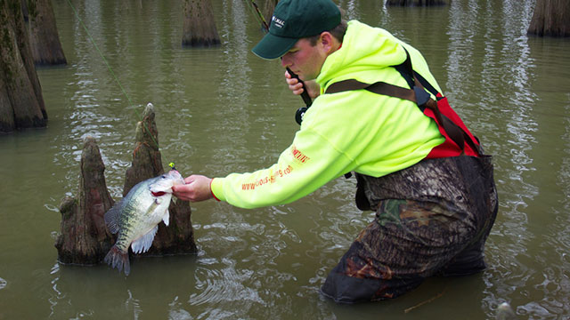 6 Expert Tips for Catching Big Spring Crappie