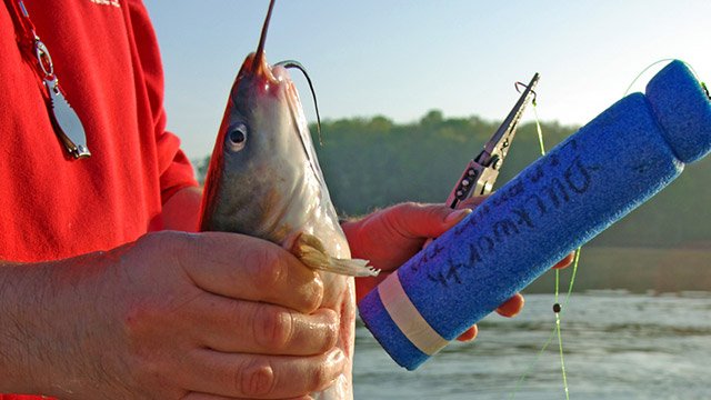 6 Must-Know DIY Fishing Projects