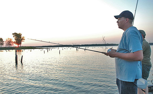 Bass fishing early summer tips