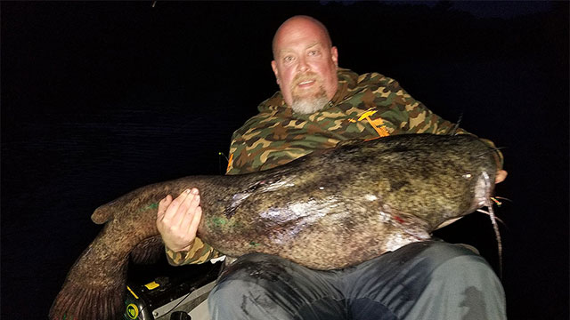 Fisherman Breaks Minnesota Flathead Catch-and-Release Record