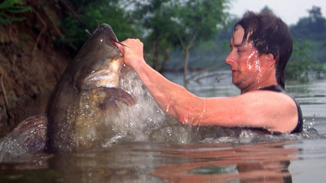 How the Catfish Noodling Craze Washed Over America