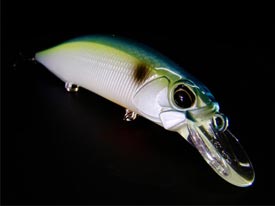 duo realis