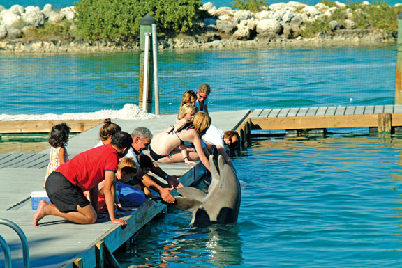 Hawks Cay Resort Hawks Cay Resort