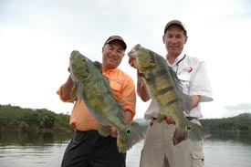 peacock bass fishing