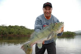 peacock bass fishing