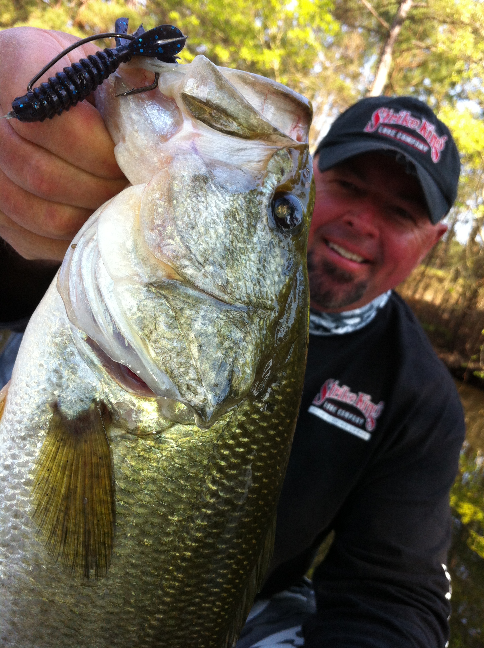 largemouth bass largemouth bass