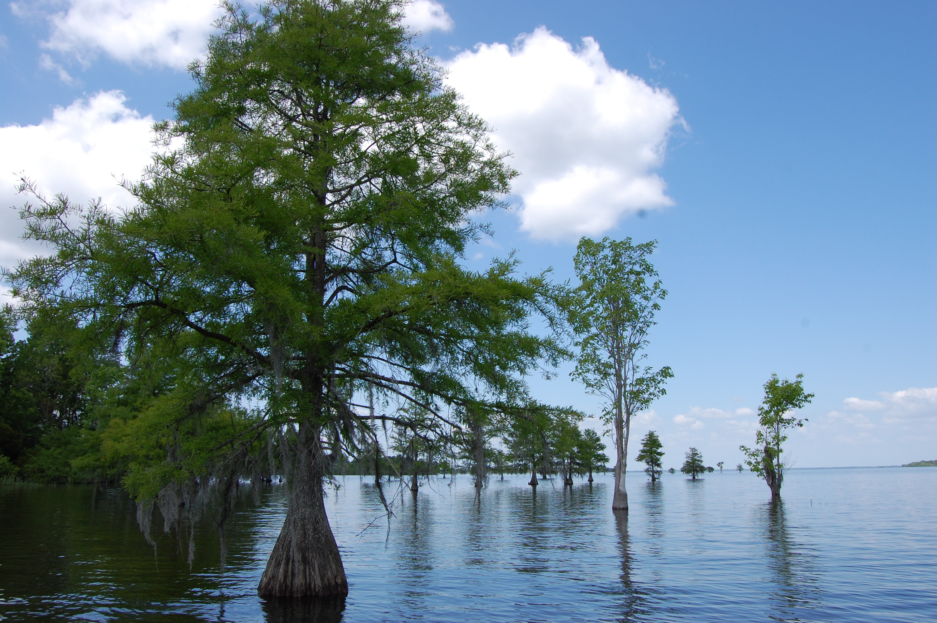 South Carolina South Carolina