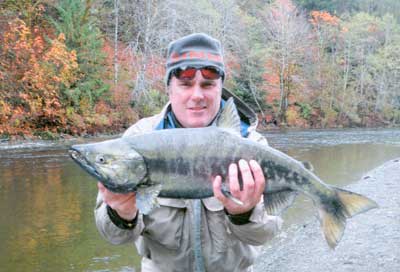 Chum Salmon