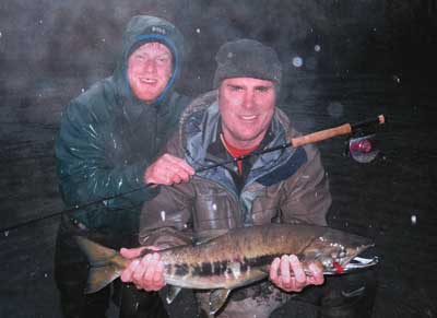 Chum Salmon