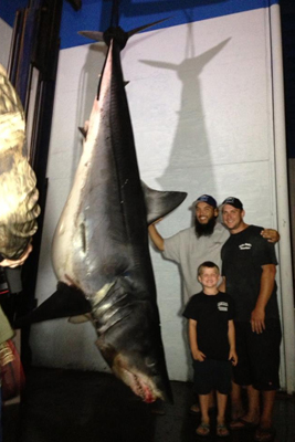 record mako shark