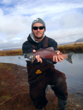 Sockeye Salmon