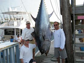 tuna fishing