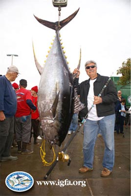 world record fish
