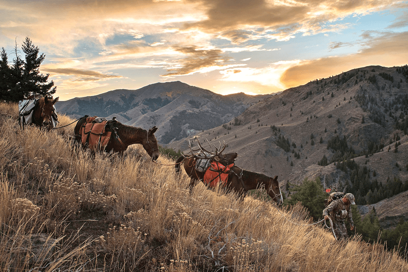 Fabled Browning Brand Still Going Strong