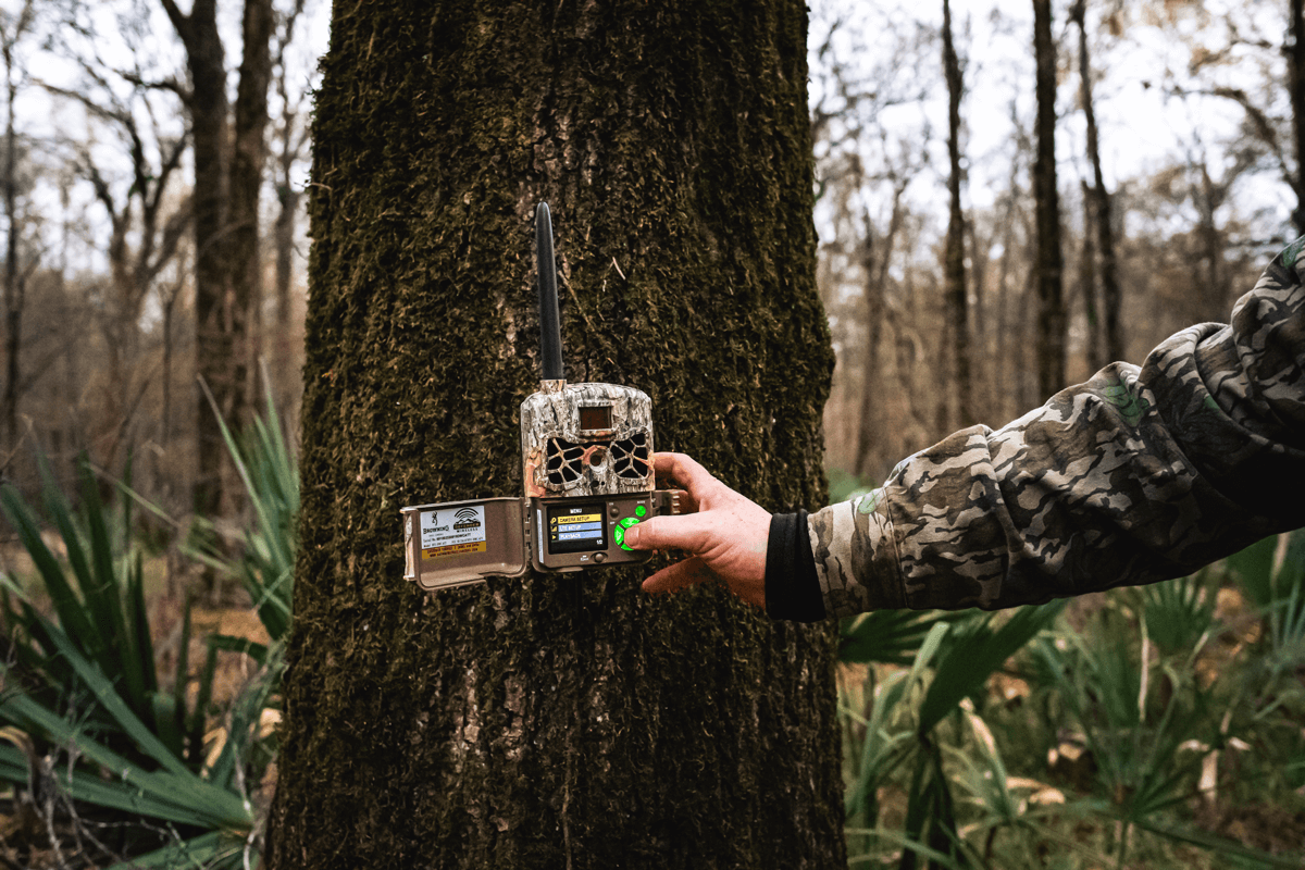 Getting the Most Out of Your Cellular Trail Cameras