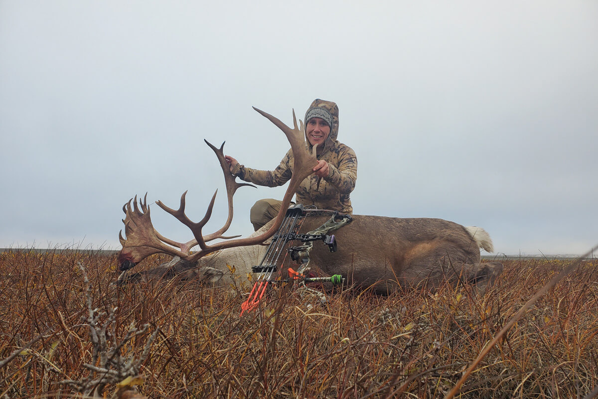 Alaska Magazine  Caribou Antlers: A Means of Seduction