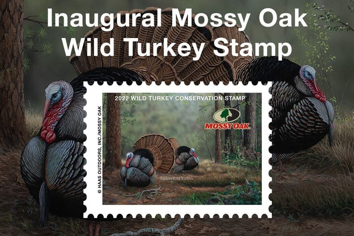 Mossy Oak Unveils Wild Turkey Conservation Stamp