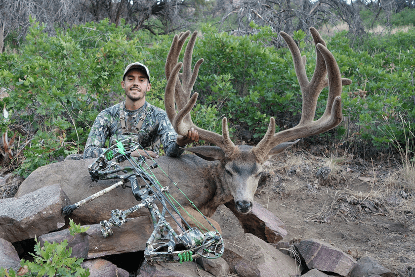 Mule-Deer-Sean-Morgan-Utah.jpg