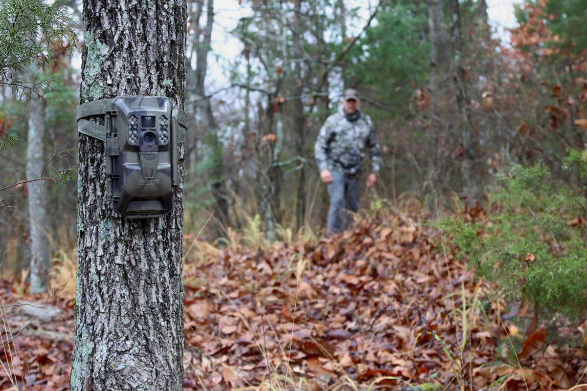 New Trail Cameras for 2022