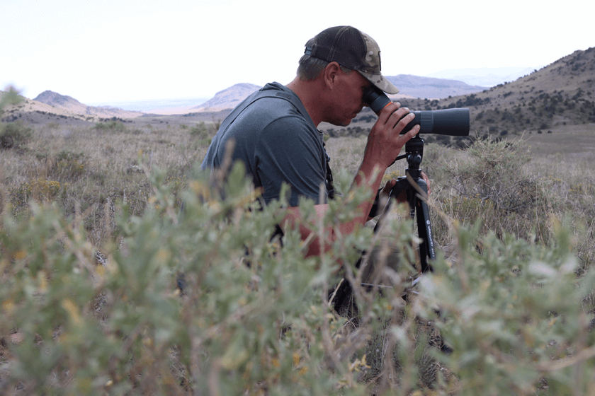 Pronghorn-Glassing-Scouting.jpg