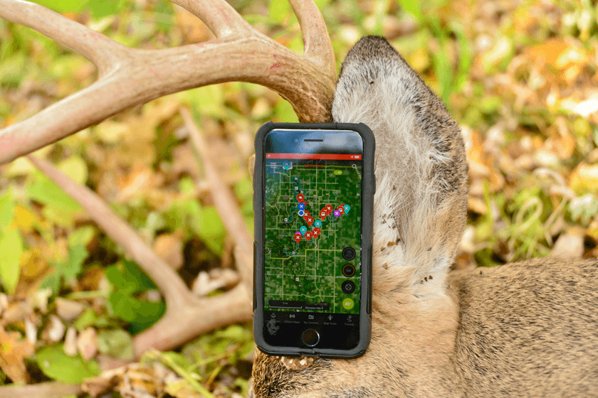 Lessons Learned: A Decade of Public-Land Whitetails
