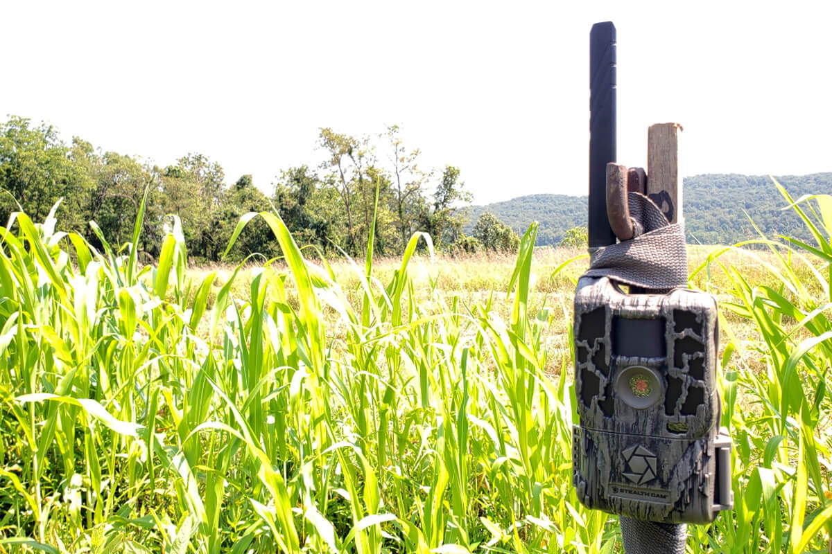 Product Review: Stealth Cam Reactor
