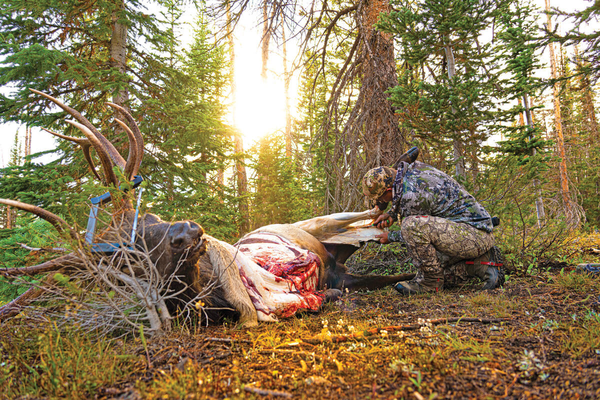 No Disadvantage: Trad Bow Elk Hunting 