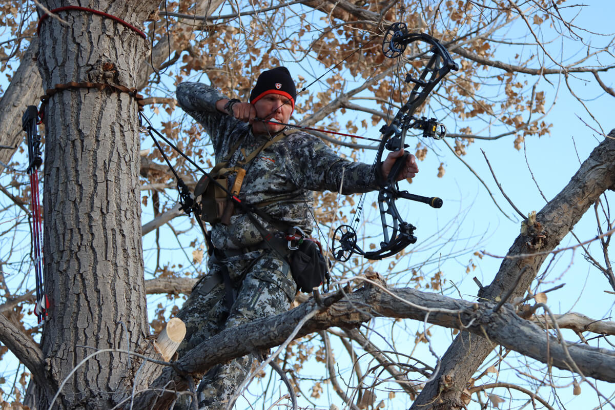 The Unmatched Benefits of Tree Saddle Hunting