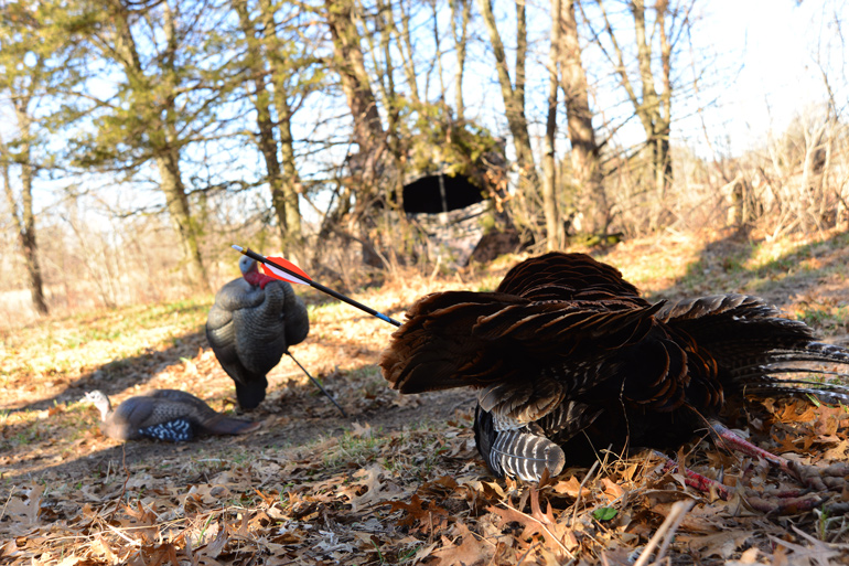 3 Ways To Make Bowhunting Turkeys More Exciting