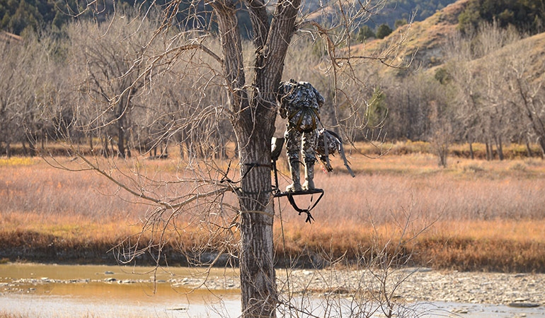 A Two-Sit Rut Plan For Bowhunting Whitetails