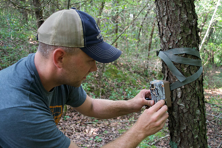 hunter checking trail camera