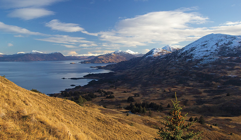 Kodiak Island landscape