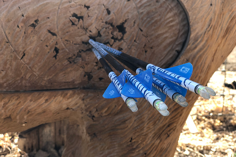 Arrow FOC Explained and Why It's Important for Bowhunting