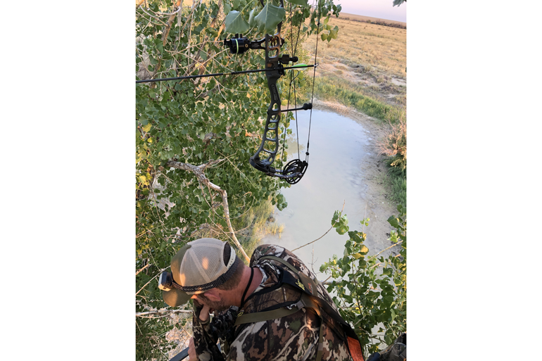 Bauserman-Quiver-In-Treestand.png