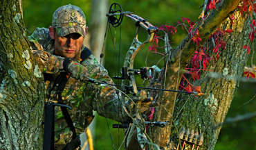 Where To Shoot A Deer Bowhunting Shot Placement