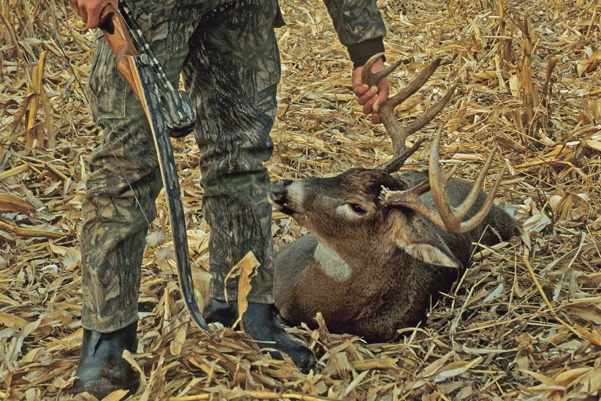 Bowhunting Mulligans: How Should You Hunt Differently?
