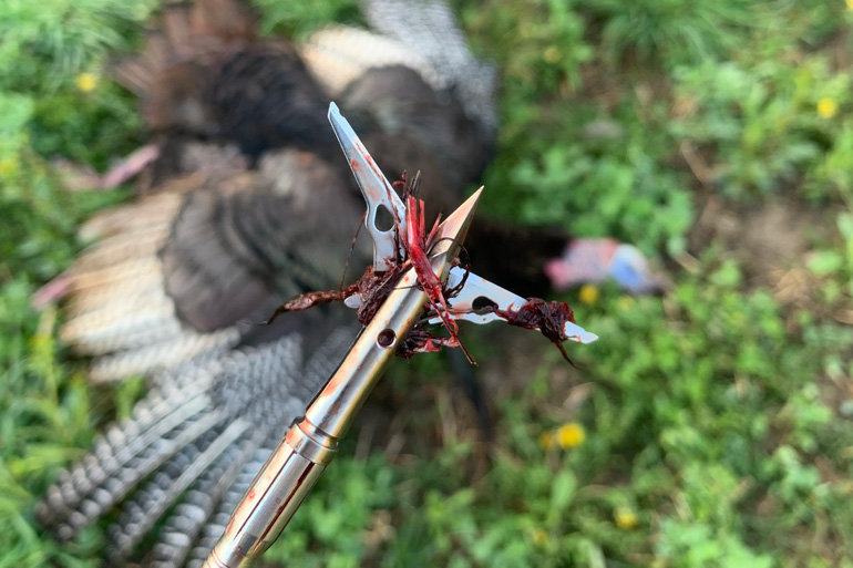 Bowhunting-Turkeys-Mechanical-Broadheads.jpg