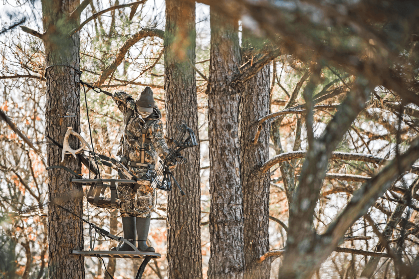 How to Master Shooting from a Treestand