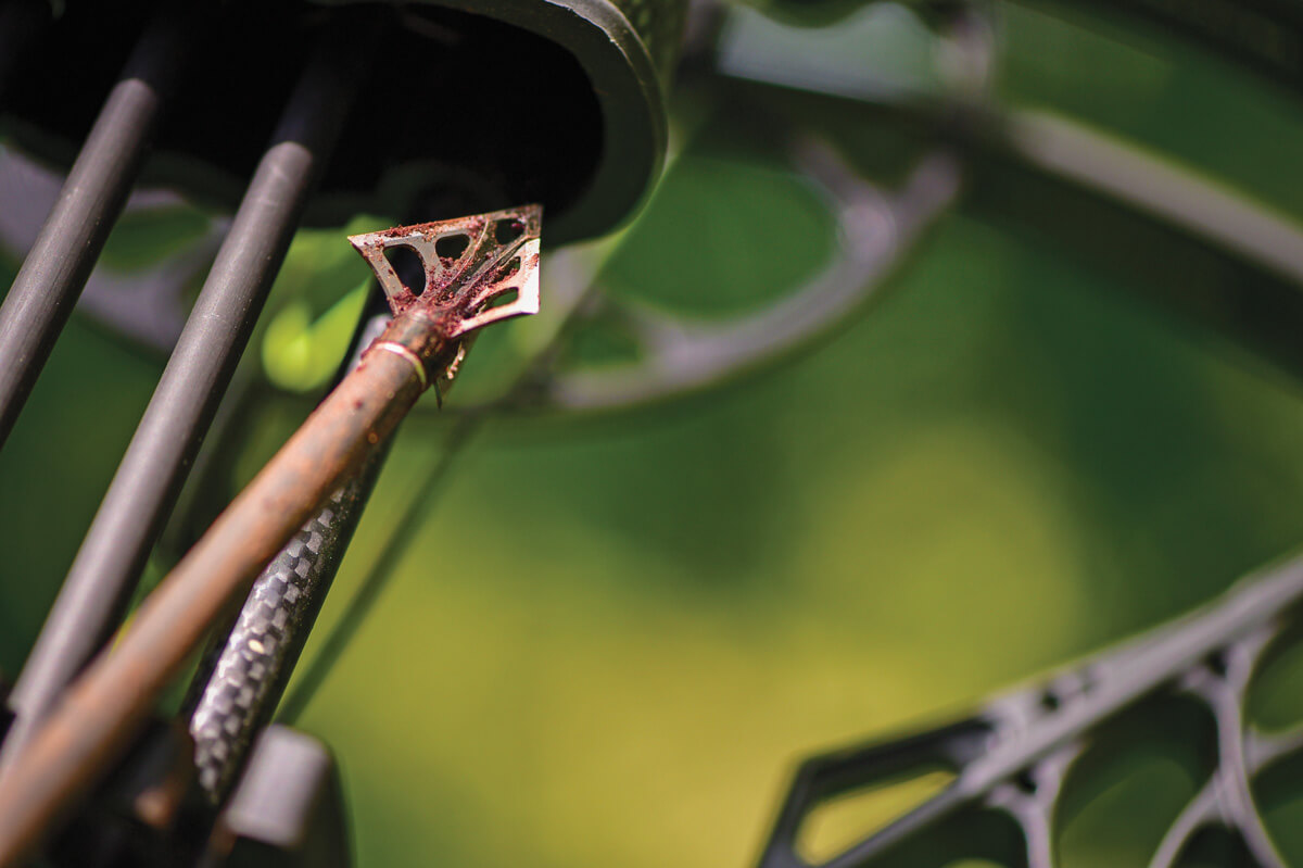 FixedBlade Broadhead Test 2022 Edition Petersen's Bowhunting