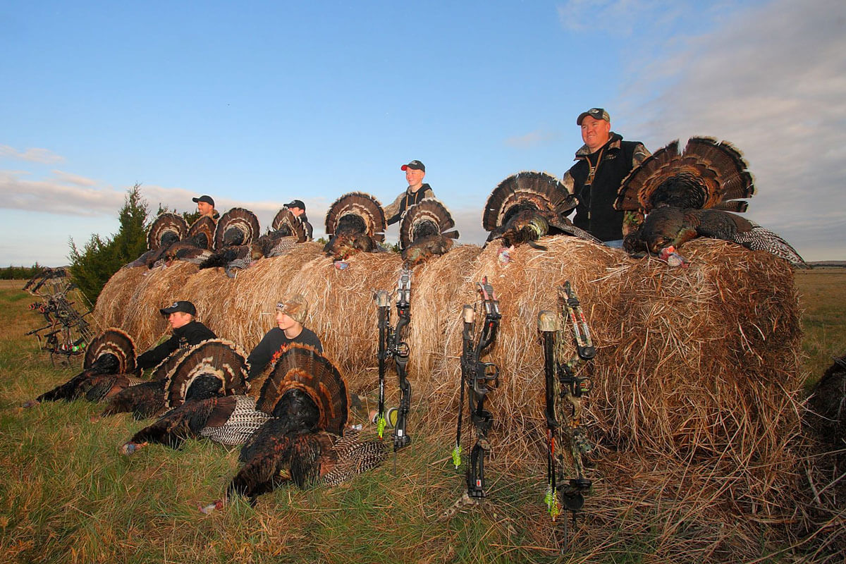 Budget Birds: Turkey Hunting on the Cheap