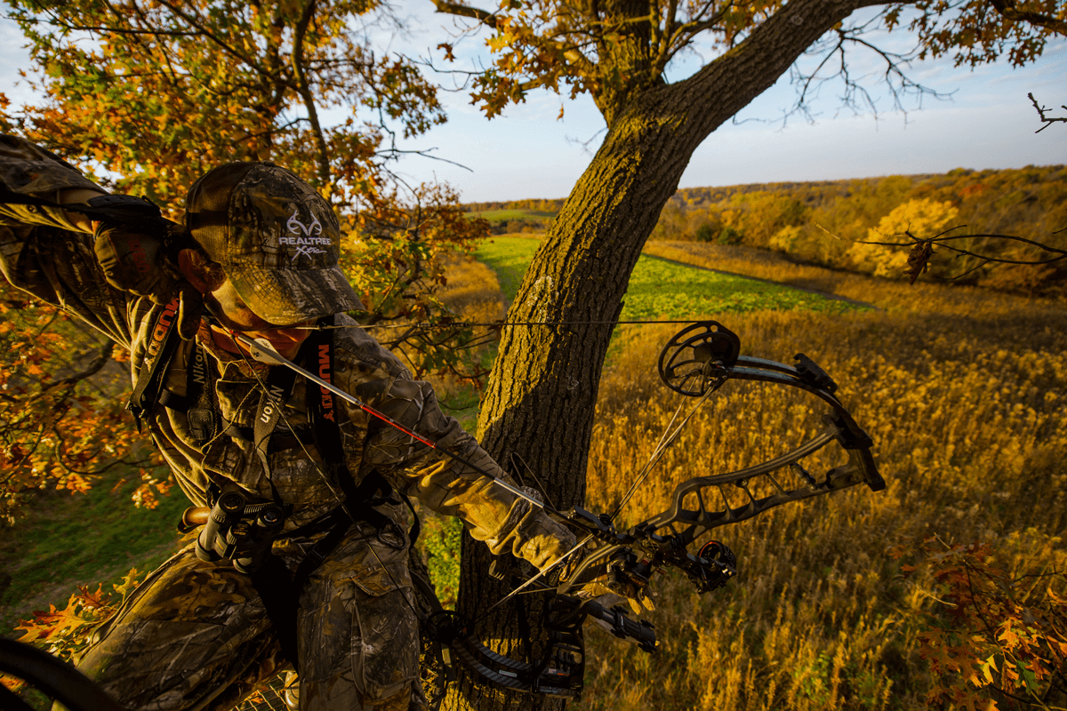 4 Important Keys to Deer Success This Fall