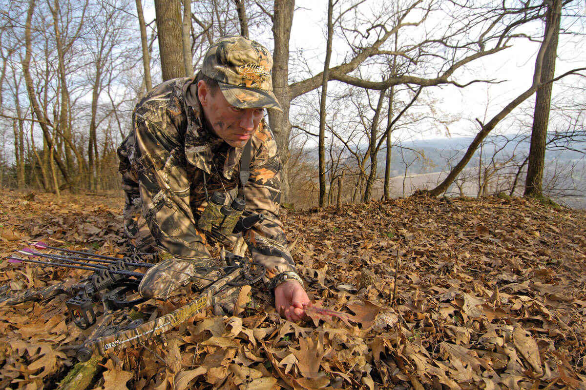 3 of the Toughest Decisions in Bowhunting