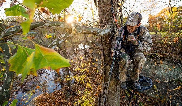 Quiz: How Good Is Your Deer Hunting Area?