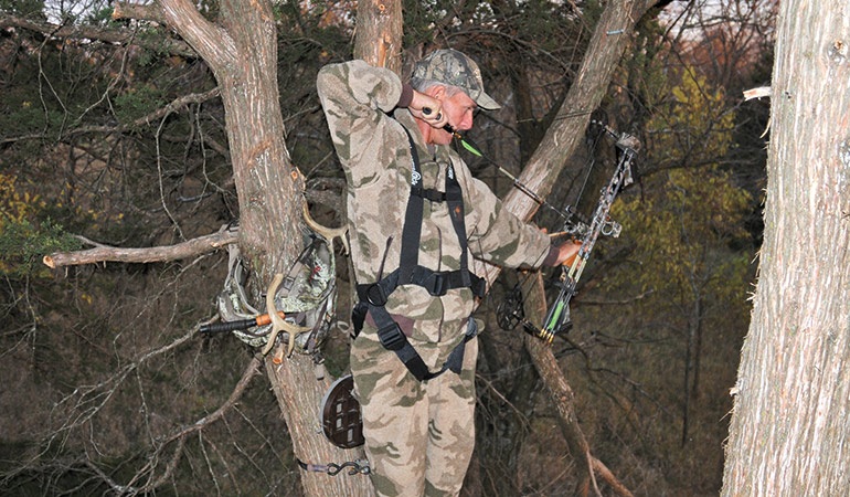 Expert's Guide to Treestand Placement
