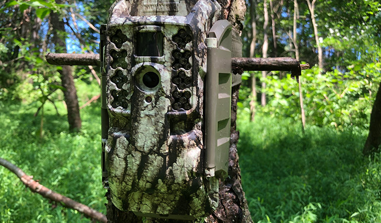 Moultrie Mobile Cellular Camera: Remote Scouting Made Simple