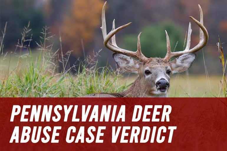 Pennsylvania Teen Disciplined in Viral Deer Abuse Video Case