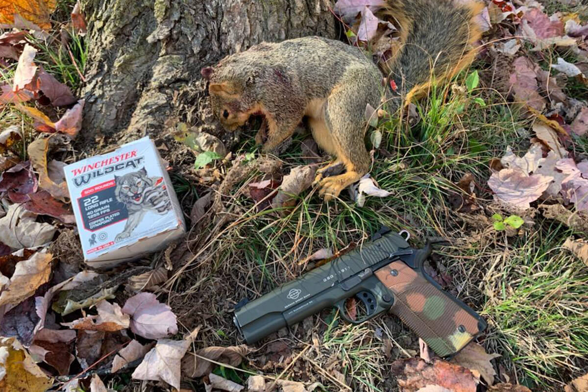 162-Foot Shot on Squirrel Made with GSG 1911 .22 LR Pistol!