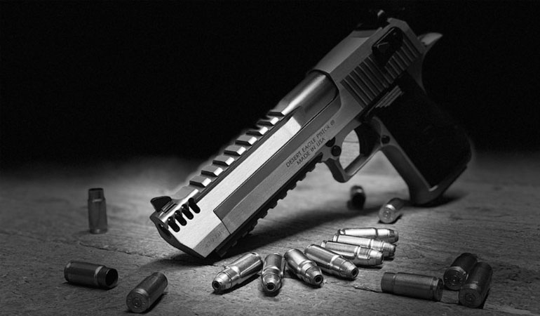 Magnum Research Introduces New 429 DE Pistol Cartridge